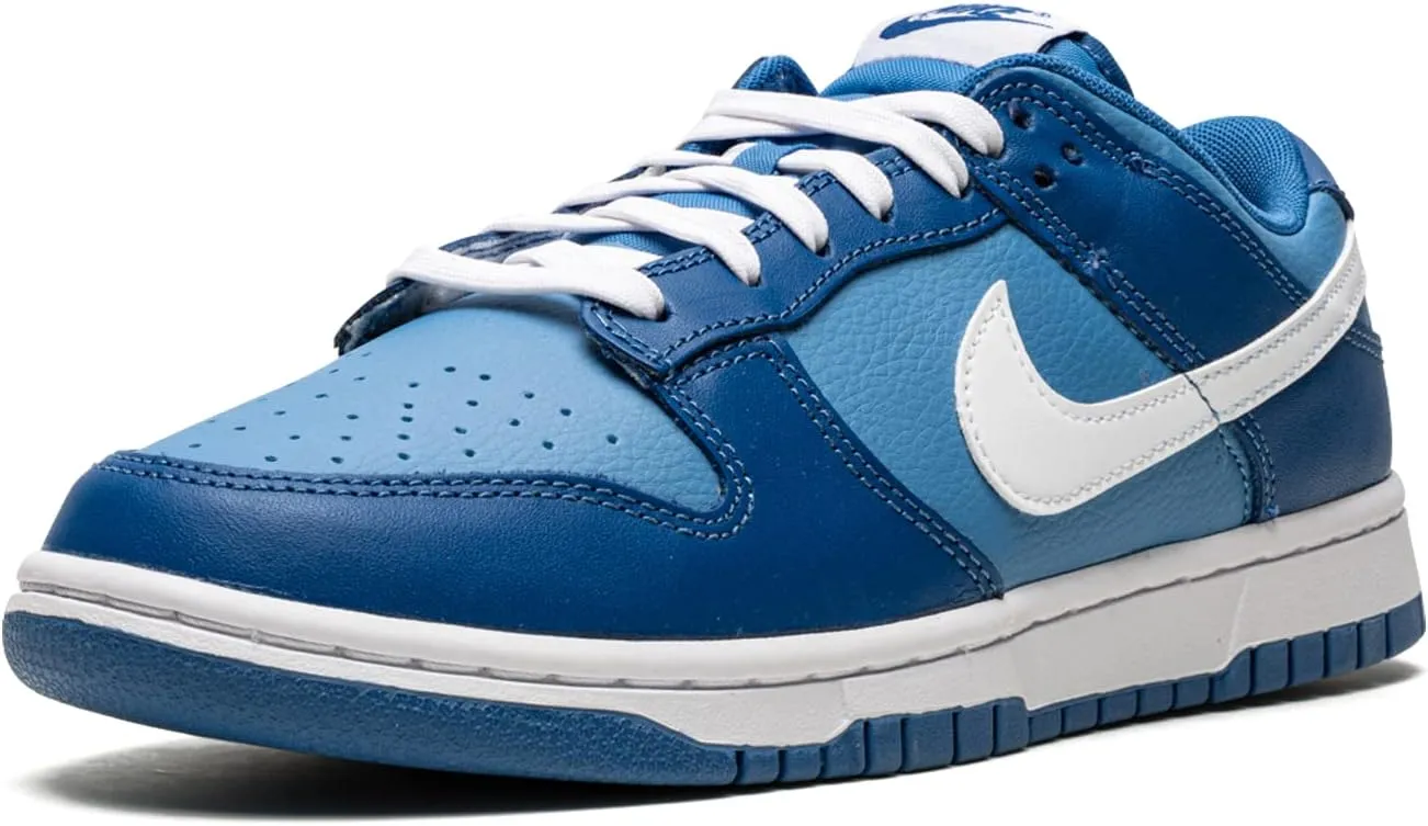 Nike Dunk Low Retro Men's Shoes