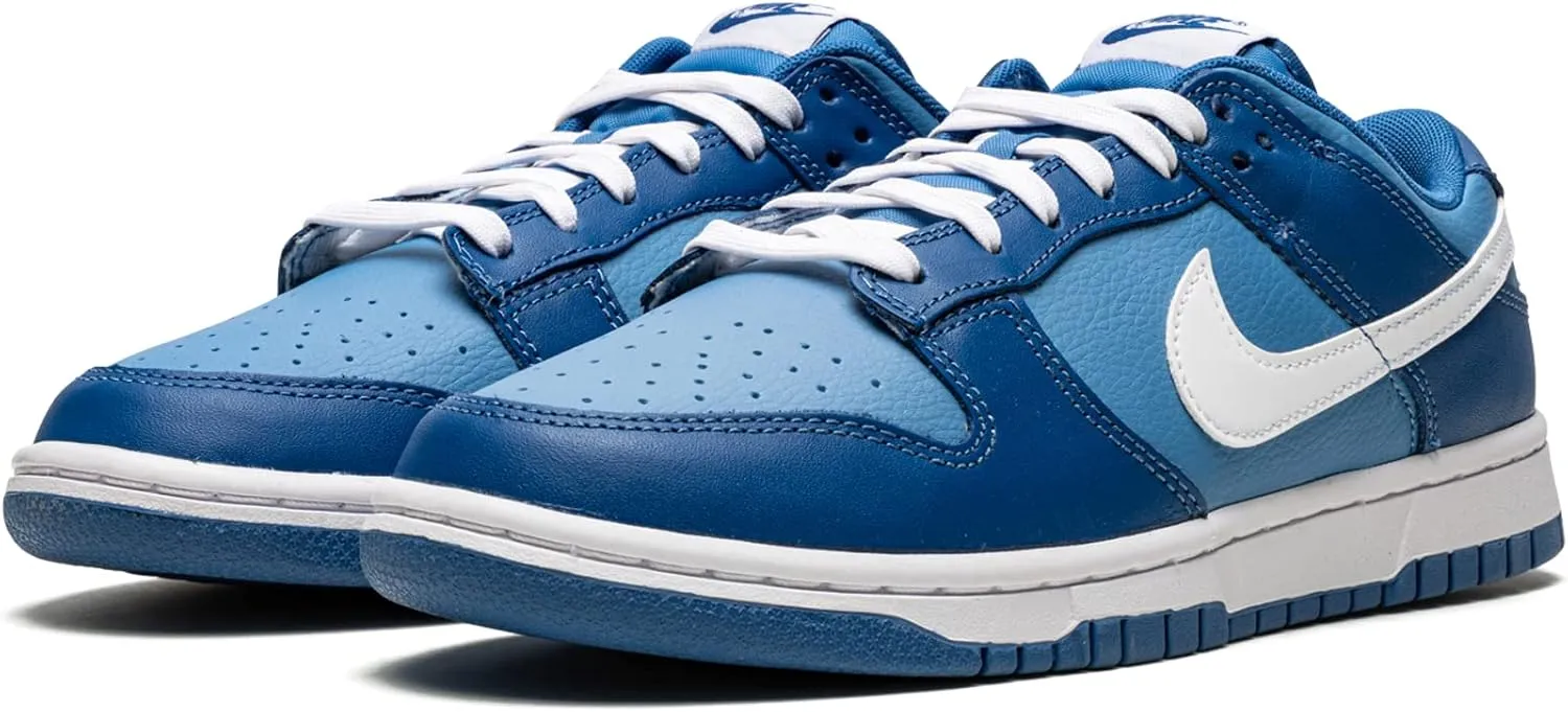 Nike Dunk Low Retro Men's Shoes