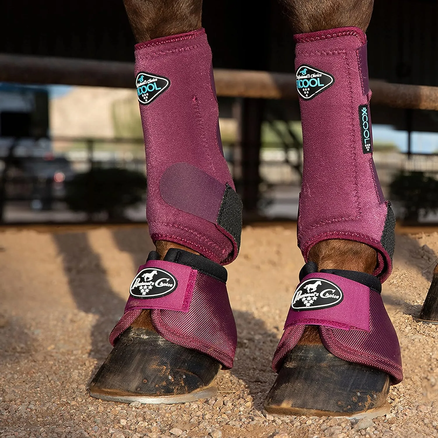 Professional's Choice 2XCOOL Sports Medicine Horse Boots | Protective & Breathable Design for Ultimate Comfort, Durability & Cooling in Active Horses | 2 Pack (Wine, Medium)
